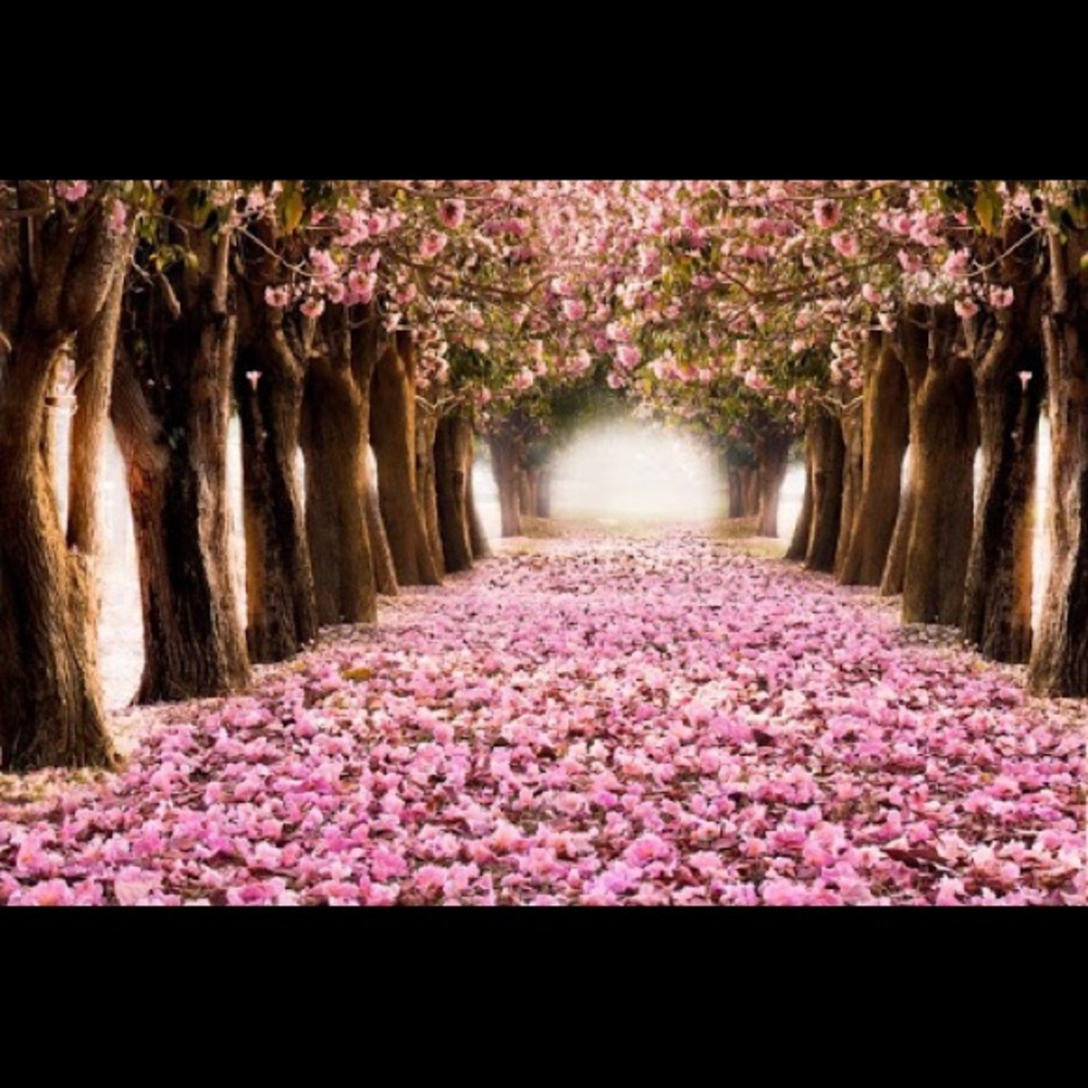 Meet your Posher, Liezl